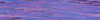 Desktop Pattern Starfishx Random Set 4 100x20 - 3