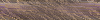 Desktop Pattern Starfishx Random Set 4 100x20 - 11