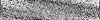 Desktop Pattern Starfishx Random Set 4 100x20 - 23