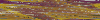 Desktop Pattern Starfishx Random Set 4 100x20 - 58