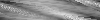 Desktop Pattern Starfishx Random Set 4 100x20 - 135