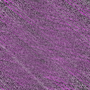 Desktop Pattern Starfishx Random Set 4 128x128 - 2