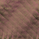 Desktop Pattern Starfishx Random Set 4 128x128 - 10