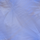 Desktop Pattern Starfishx Random Set 4 128x128 - 96