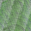 Desktop Pattern Starfishx Random Set 4 128x128 - 171