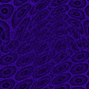 Desktop Pattern Starfishx Random Set 4 128x128 - 174