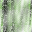 Desktop Pattern Starfishx Random Set 4 32x32 - 40