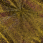 Desktop Pattern Starfishx Random Set 4 64x64 - 17