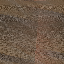Desktop Pattern Starfishx Random Set 4 64x64 - 20