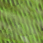 Desktop Pattern Starfishx Random Set 4 64x64 - 29