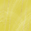 Desktop Pattern Starfishx Random Set 4 64x64 - 31