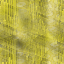 Desktop Pattern Starfishx Random Set 4 64x64 - 51