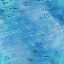 Desktop Pattern Starfishx Random Set 4 64x64 - 66