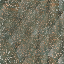 Desktop Pattern Starfishx Random Set 4 64x64 - 88