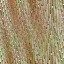 Desktop Pattern Starfishx Random Set 4 64x64 - 103