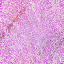 Desktop Pattern Starfishx Random Set 4 64x64 - 114