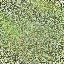 Desktop Pattern Starfishx Random Set 4 64x64 - 136