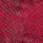 Desktop Pattern Starfishx Random Set 4 64x64 - 138