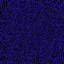 Desktop Pattern Starfishx Random Set 4 64x64 - 152
