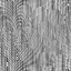Desktop Pattern Starfishx Random Set 4 64x64 - 155