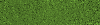 Desktop Pattern Starfishx Random Set 5 100x25 - 8