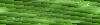 Desktop Pattern Starfishx Random Set 5 100x25 - 84