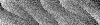 Desktop Pattern Starfishx Random Set 5 100x25 - 113