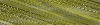 Desktop Pattern Starfishx Random Set 5 100x25 - 174