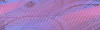 Desktop Pattern Starfishx Random Set 5 100x30 - 138