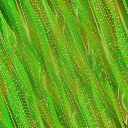 Desktop Pattern Starfishx Random Set 5 128x128 - 74