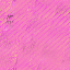 Desktop Pattern Starfishx Random Set 5 64x64 - 3