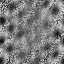 Desktop Pattern Starfishx Random Set 5 64x64 - 23