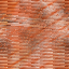 Desktop Pattern Starfishx Random Set 5 64x64 - 31