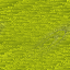 Desktop Pattern Starfishx Random Set 5 64x64 - 53