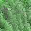 Desktop Pattern Starfishx Random Set 5 64x64 - 54