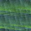 Desktop Pattern Starfishx Random Set 5 64x64 - 82