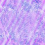 Desktop Pattern Starfishx Random Set 5 64x64 - 85