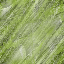Desktop Pattern Starfishx Random Set 5 64x64 - 101
