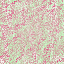 Desktop Pattern Starfishx Random Set 5 64x64 - 112