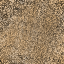 Desktop Pattern Starfishx Random Set 5 64x64 - 114