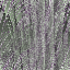 Desktop Pattern Starfishx Random Set 5 64x64 - 138