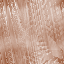 Desktop Pattern Starfishx Random Set 5 64x64 - 142