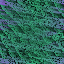 Desktop Pattern Starfishx Random Set 5 64x64 - 166