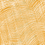 Desktop Pattern Starfishx Random Set 5 64x64 - 173