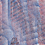Desktop Pattern Starfishx Random Set 5 64x64 - 198