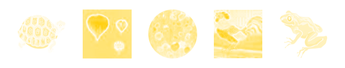 Inkscape Saturation Map Filter Clipart and Photos