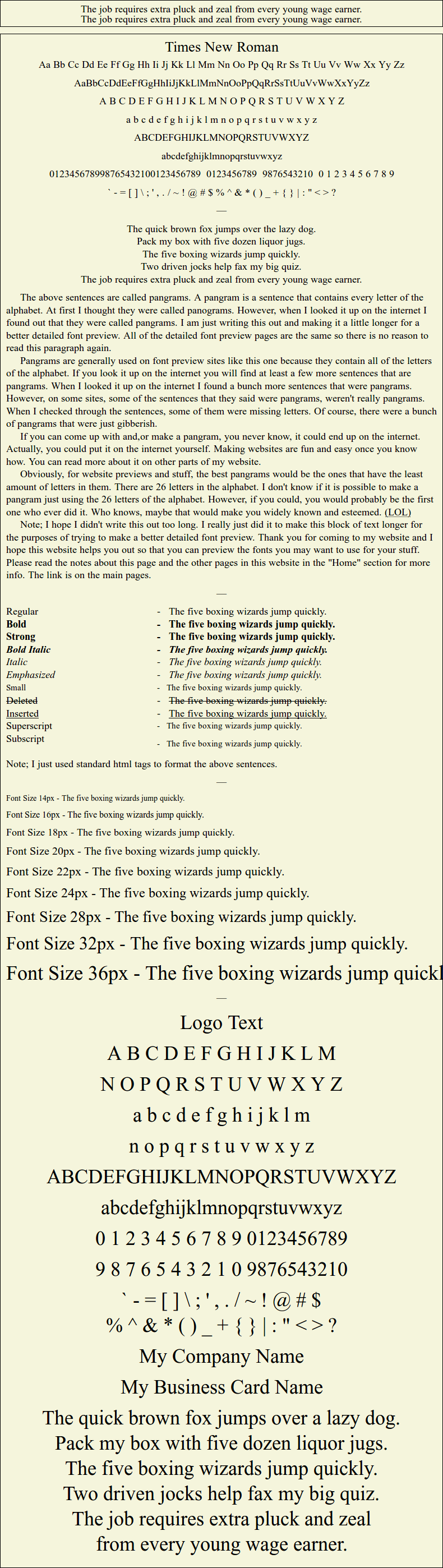 Detailed Picture Preview of The Font - Times New Roman